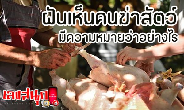 ฝันเห็นคนฆ่าสัตว์ -"Dream of seeing someone kill animals"