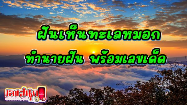 ฝันเห็นทะเลหมอก -"Dream of seeing a sea of ​​mist"