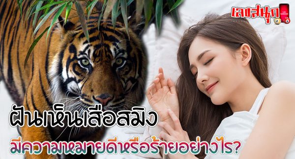 ฝันเห็นเสือสมิง-"Dream of seeing a tiger"