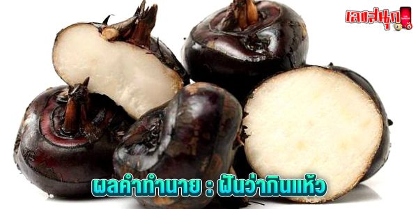 ฝันว่ากินแห้ว-"Dreamed of eating water chestnuts"