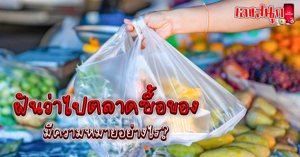 ฝันว่าไปตลาดซื้อของ-"fun numbers beliefs"