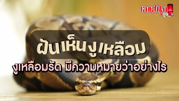 ฝันว่างูเหลือมรัด -"fun numbers beliefs"