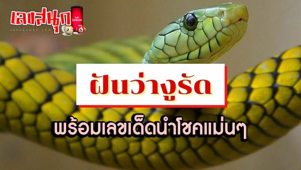 ฝันว่างูรัดตัวเอง เลขเด็ด -"Dreaming that a snake strangled itself is a lucky number."
