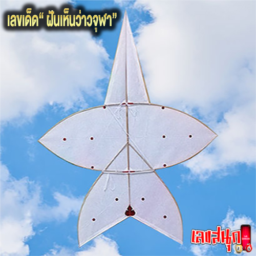 ฝันว่าได้วิ่งว่าว เลขเด็ด -"Dreaming of flying a kite, lucky numbers"