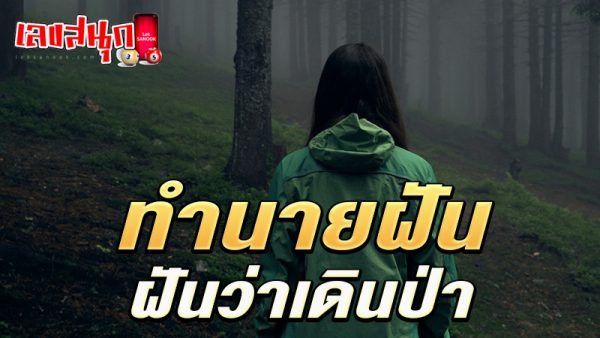 ฝันว่าเดินป่า-"Dreaming of hiking"