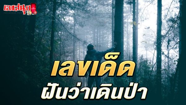 ฝันว่าเดินเข้าป่า เลขเด็ด-"Dreaming of walking into the forest, lucky numbers"