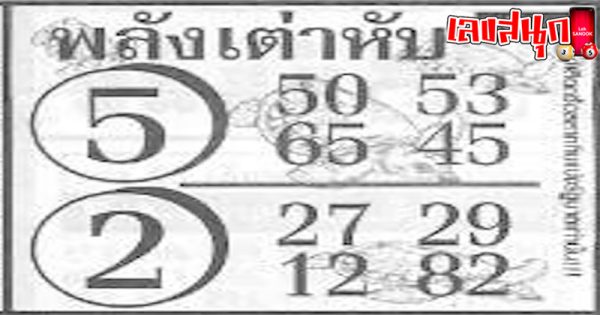 พลังเต่าหับ 16 9 67 - "Famous lottery envelopes, the power of turtles"