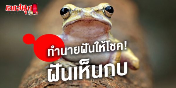 ฝันเห็นกบตัวใหญ่หลายตัว -"I dreamt of seeing many big frogs"