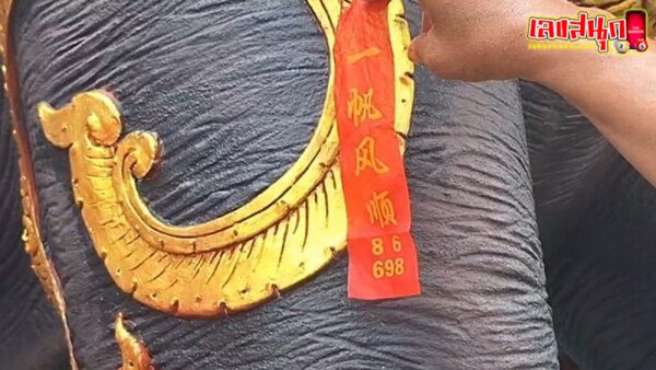 เลขเด็ดงวดนี้-"Lucky numbers for this period"