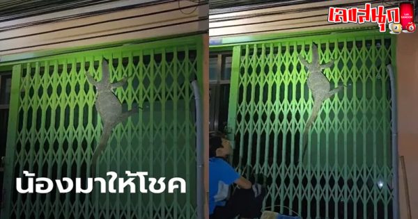 เลขเด็ด-"Lucky numbers"