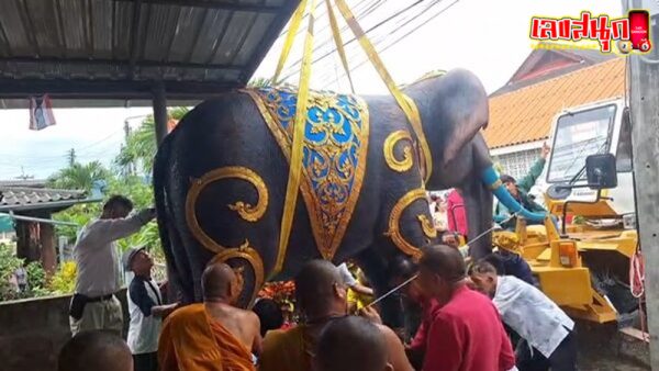พญาช้างก่ำงาเขียว-"Phaya Chang Kam Green Ivory"