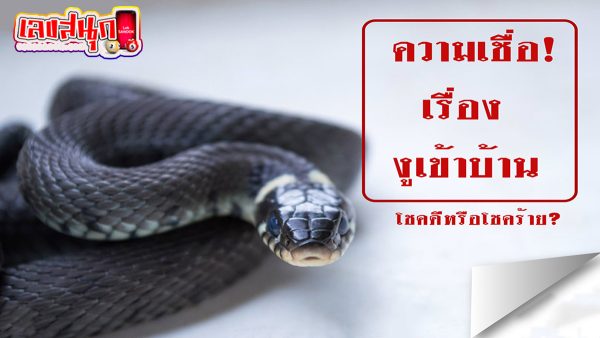 งูเข้าบ้านเลขเด็ด -"Snake enters house with lucky number"