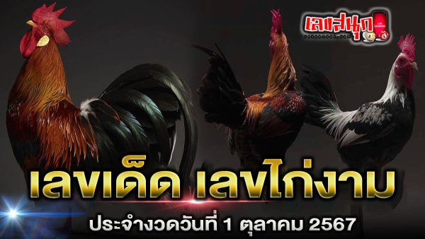 เลขไก่งาม 1 10 67 - "Fun Numbers Belief"