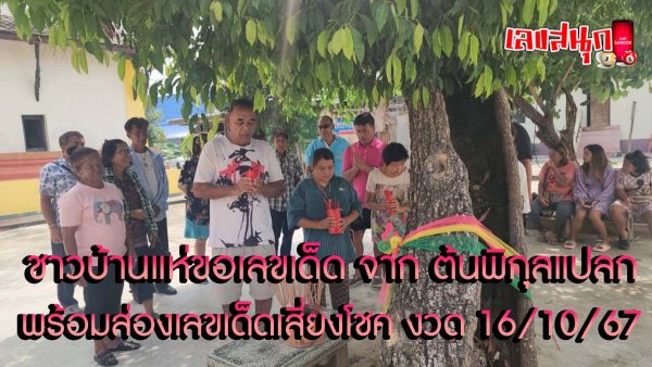 ความเชื่อ ต้นพิกุลแปลก -"famous people's fun numbers"