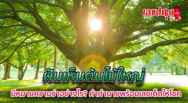 ฝันเห็นต้นไม้ใหญ่-"Dream of seeing a big tree"