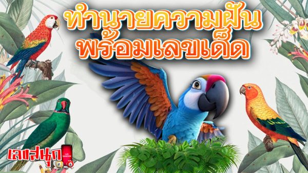ฝันเห็นนกแก้วพูดได้-"Dream of seeing a talking parrot"