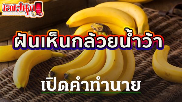 ฝันเห็นกล้วยน้ำว้า -"Dream of seeing bananas"