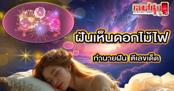 ฝันเห็นดอกไม้ไฟ -"Dream of seeing fireworks"