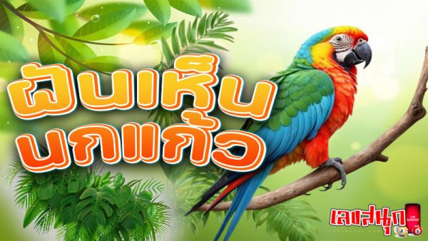 ฝันเห็นนกแก้ว-"Dream of seeing many birds"