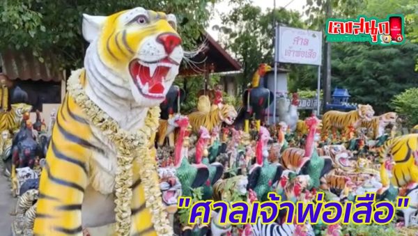 เลขเด็ด ศาลเจ้าพ่อเสือ-"Lucky numbers from Chao Pho Suea Shrine"