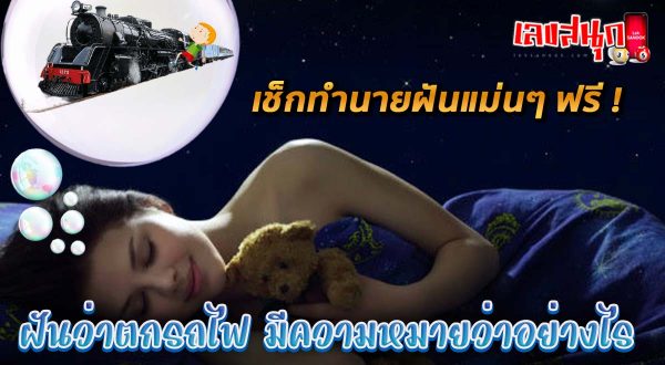 ฝันว่าตกรถไฟ-"Dreaming about missing the train"