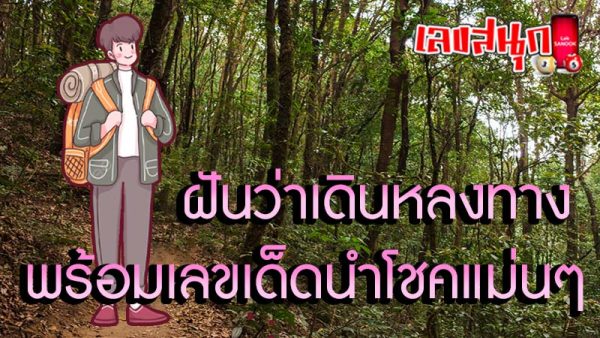 ฝันว่าเดินหลงทางหาทางออกไม่เจอ -"Dreaming of being lost and unable to find a way out."