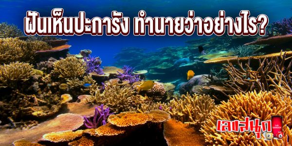 ฝันเห็นปะการัง -"Dreaming of coral"