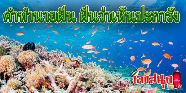ฝันเห็นปะการัง -"Dreaming of coral"
