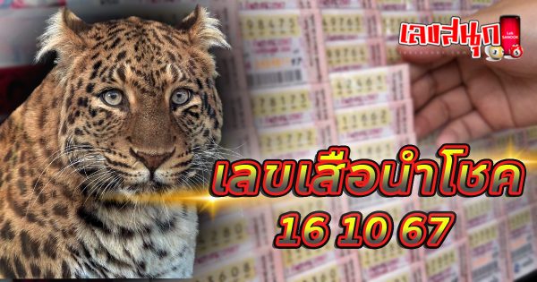 เลขเสือนำโชค 16 10 67-''Lucky tiger number 16 10 67''