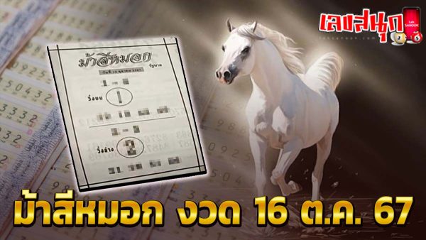 ม้าสีหมอก 16 10 67 -"famous people's fun numbers"