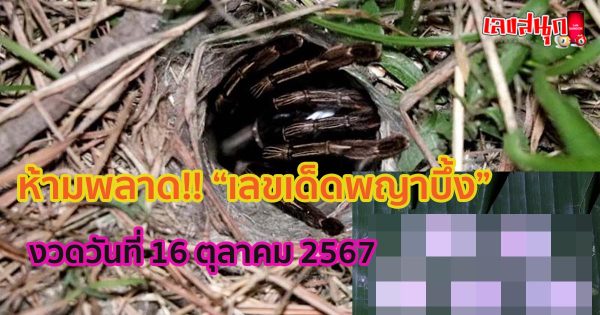 เลขพญาบึ้ง 16 10 67-"Phaya Bueng number 16 10 67"
