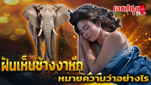ฝันเห็นช้างงาหัก -"Dream of seeing an elephant with one tusk broken"