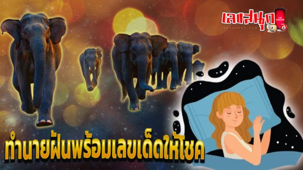 ฝันเห็นช้างงาหัก 2 ข้าง-"Dream of seeing an elephant with two broken tusks'