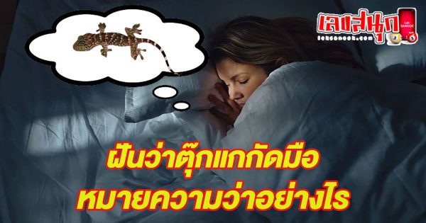 ฝันว่าตุ๊กแกกัดมือ-"Dream that a gecko bites"