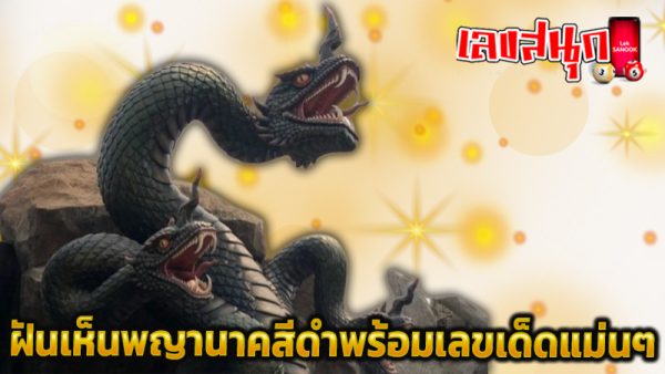 ฝันเห็นรูปปั้นพญานาคสีดำ -"Dream of seeing a black Naga statue"