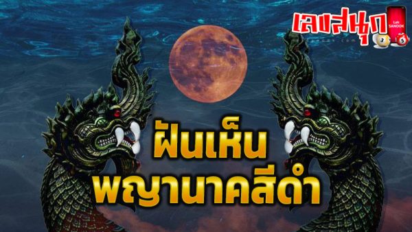 ฝันเห็นพญานาคสีดำ -"Dream of seeing a black serpent"