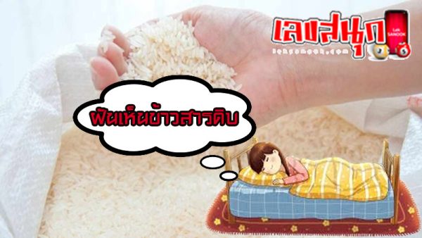 ฝันเห็นข้าวสารดิบ-"Dreamed of seeing a lot of rice paddy"
