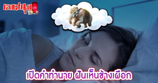 ฝันเห็นช้างเผือก -"Dreaming of a white elephant"