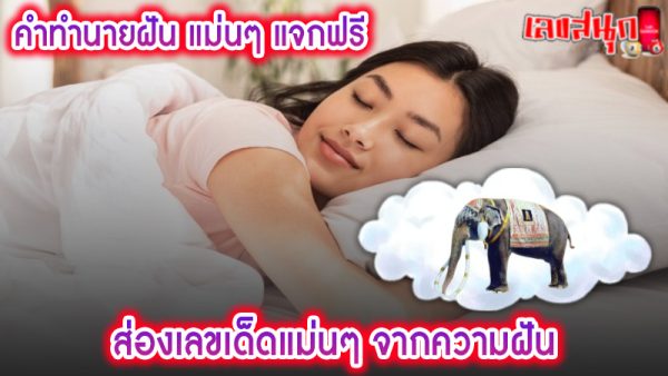 ฝันเห็นช้างเผือก -"Dreaming of a white elephant"