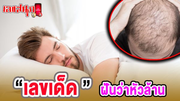 ฝันว่าหัวล้านตรงกลางหัว เลขเด็ด -"Dreaming that you are bald in the middle of your head is a lucky number"