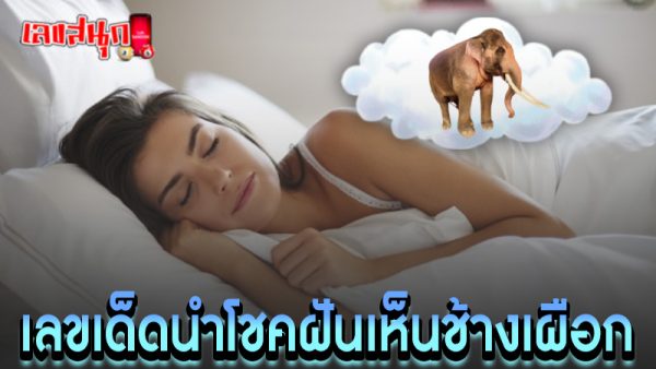 ฝันเห็นช้าง 1 เชือก -"I dreamt of seeing one elephant."