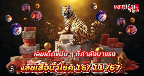 เสือนำโชค 16 11 67-"Lucky Tiger 16 11 67"