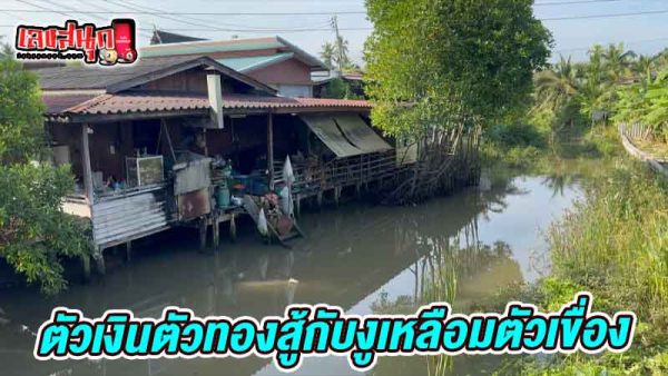 ศึก 2 สายพันธุ์-"Battle of 2 species"