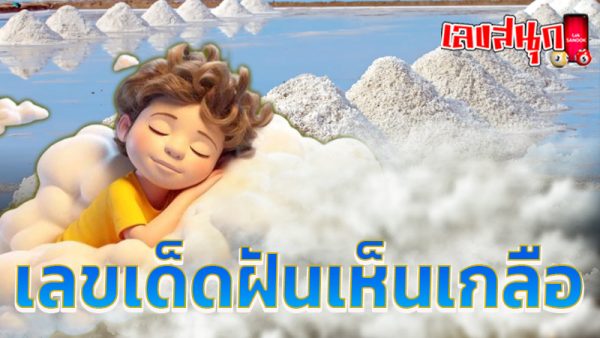 ฝันว่า ตัก เกลือ ใส่ ถุง -"Dreaming of scooping salt into a bag"