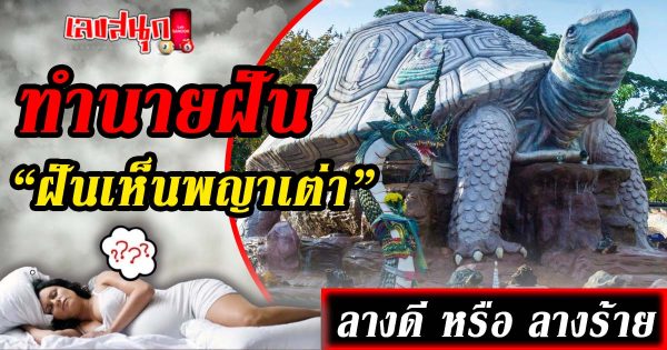 ฝันเห็นพญาเต่า -"fun numbers beliefs"