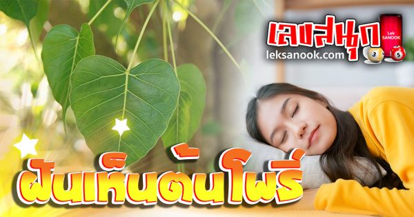 ฝันเห็นต้นโพธิ์-''Dream of seeing a Bodhi tree''