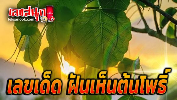 ฝันเห็นต้นโพธิ์สูงใหญ่-''Dream of seeing a big tall Bodhi tree''