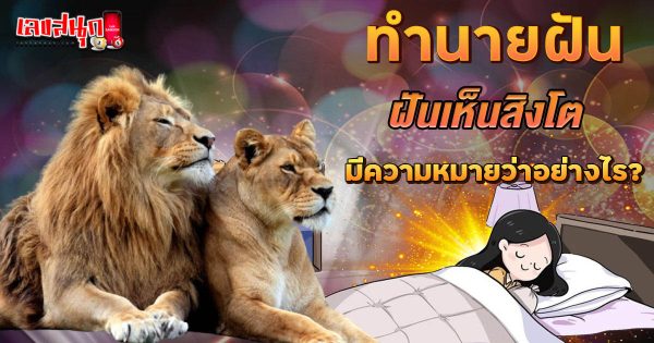 ฝันเห็นสิงโต-"Dream of seeing a lion"