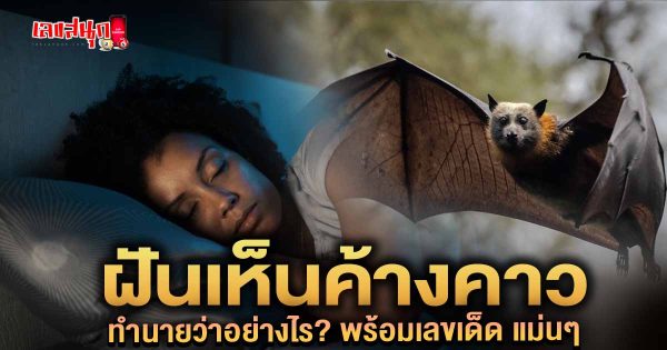 ฝันเห็นค้างคาว - "Dream of seeing bats"