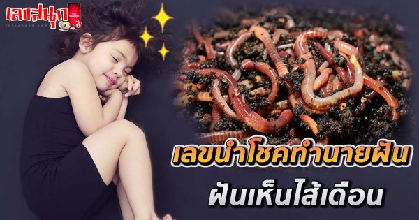 ฝันเห็นไส้เดือนกัด-"Dream of seeing earthworms bite"